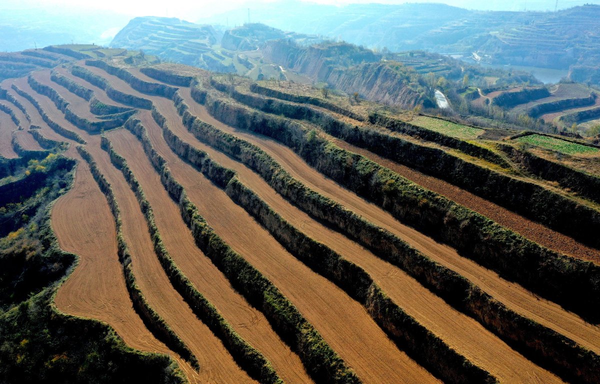 ShutterLife888's tweet photo. 初冬的平陆梯田如大地指纹,与村庄和水库交织成一幅静美画面。
Early-winter terraces in Pinglu resembled earth’s fingerprints, blending gracefully with nearby villages and reservoirs. #Pinglu #Landscape #Nature https://t.co/tnxjl4c7hP