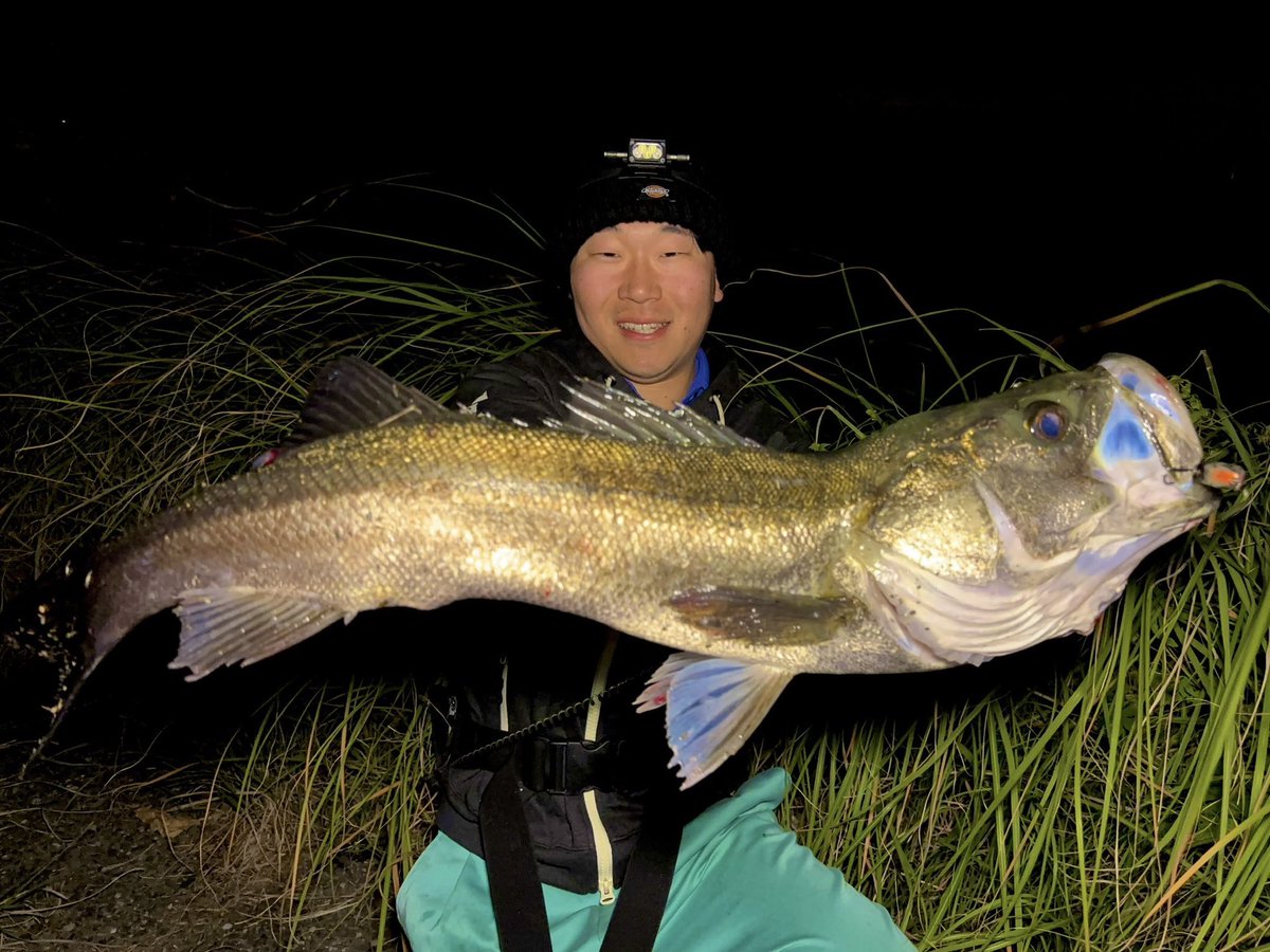 Fishman (@Fishman_BC) / Posts / X