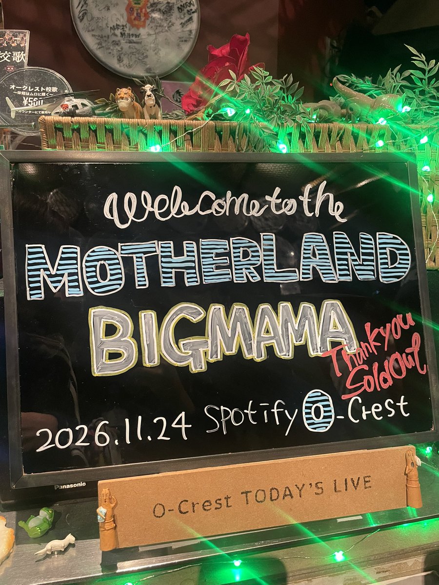 マリリン tweet media