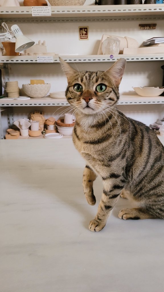 pritzker_prize's tweet image. k a s ı m .