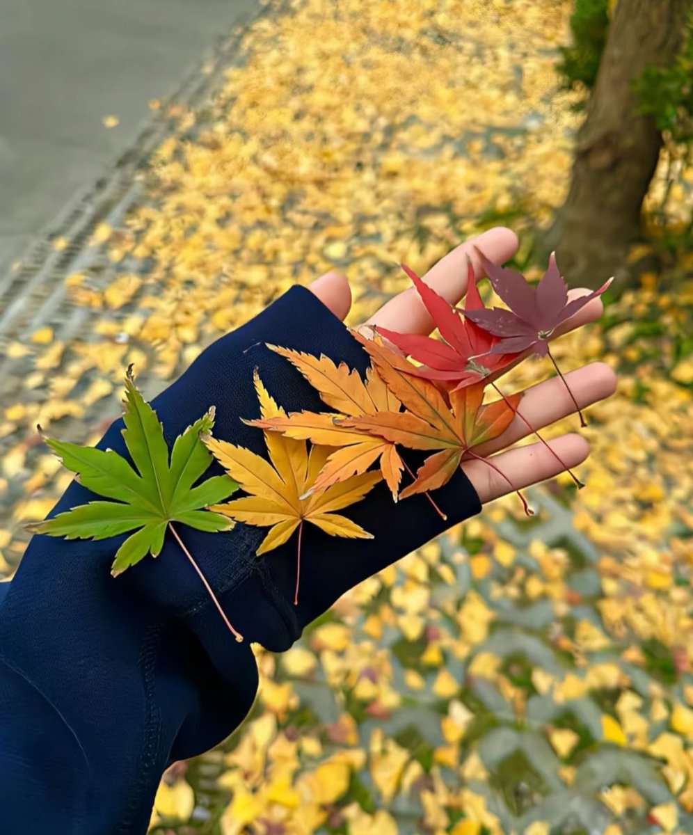 Autumn's sense of ease