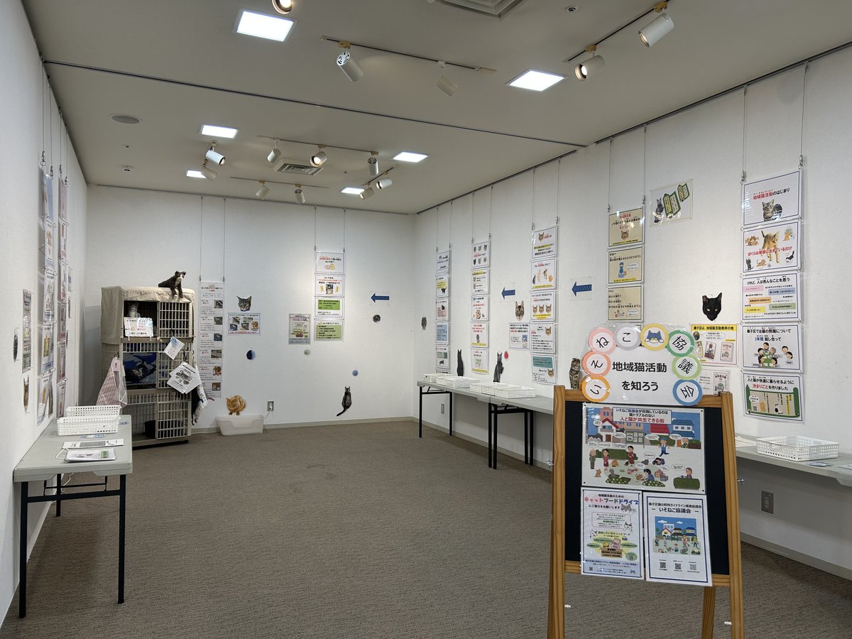 \\ねこ好き集まれ～🐾//
🐱いそにゃんこ展、開催中🐱

壁一面にかわいい猫の写真♪

そして”地域猫”や”保護猫”
"災害時のそなえ"なども詳しく展示してあり..

猫について深く考えるきっかけになりました☺
11/30まで開催中です！

時間:10-17時(最終日は16時)
場所:杉田劇場

#神奈川 #ねこ #保護猫
