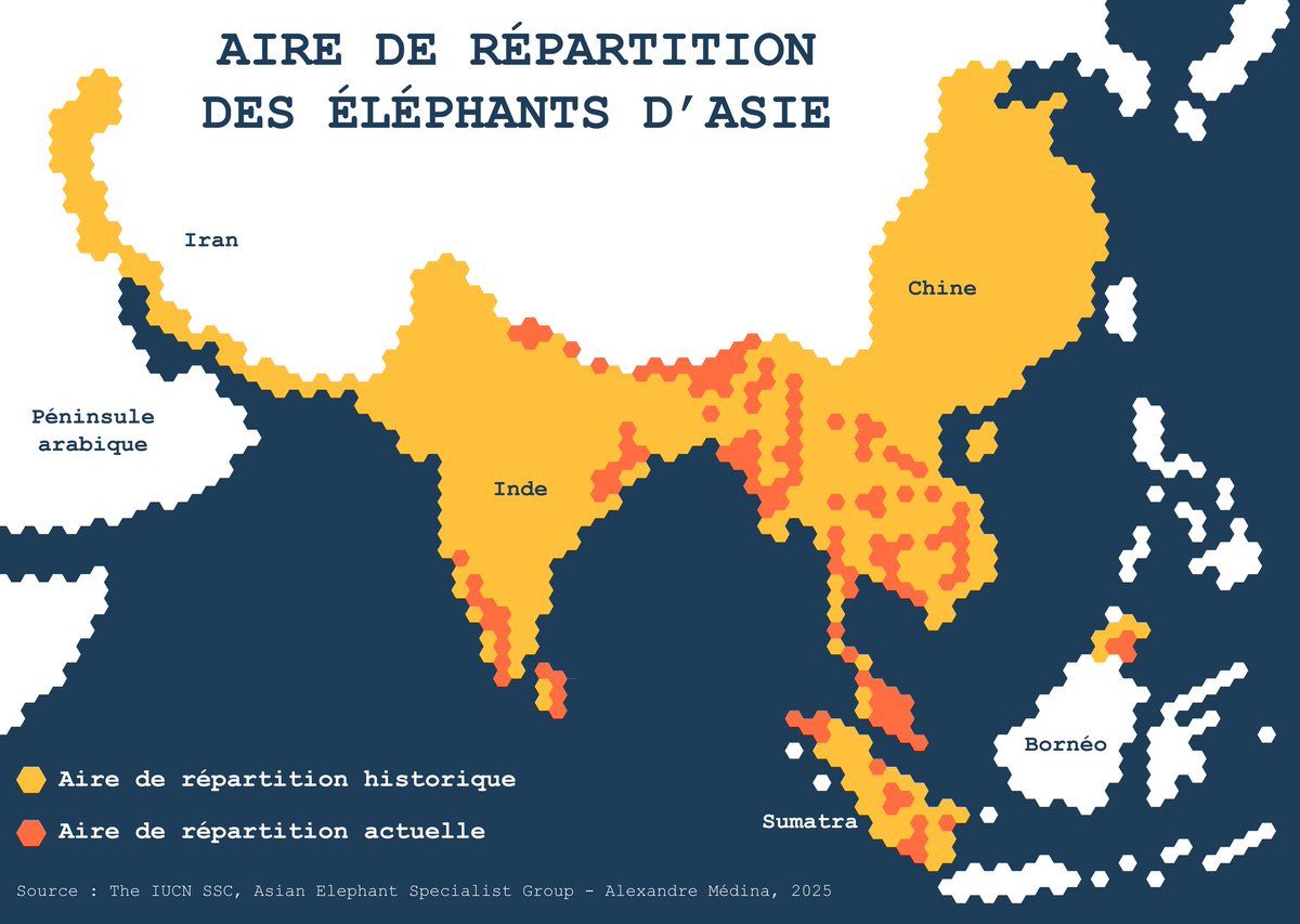 Alexandre Médina tweet media