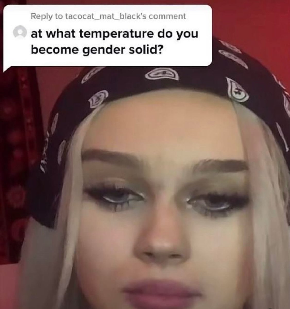 RespectfulMemes's tweet image. 