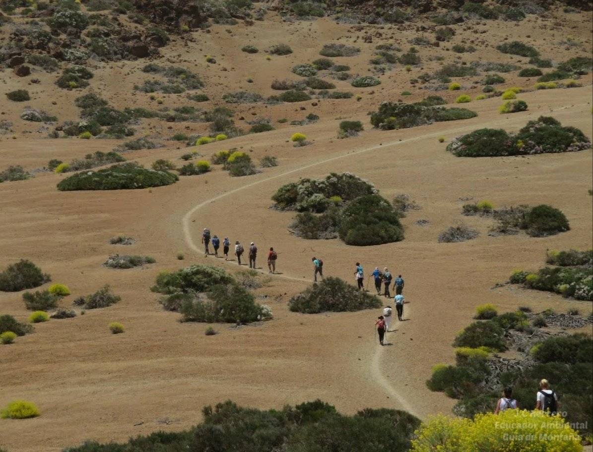 Transitar por un sendero 👣🎒🥾 marcado es siempre la opción ➕️ segura en el Medio Natural: te protege a ti y protege al entorno 🌿🐦
Seguir el trazado evita erosión, cuida la flora y minimiza el impacto ambiental 

⚠️ Responsabilidad ⚠️

#GuíadeMontaña #EducadorAmbiental