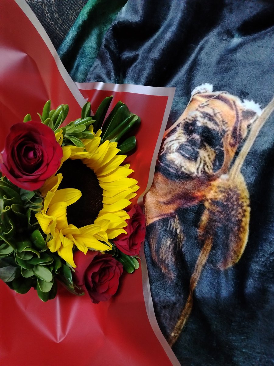 ☺️ un ewok más a la colección 🖤