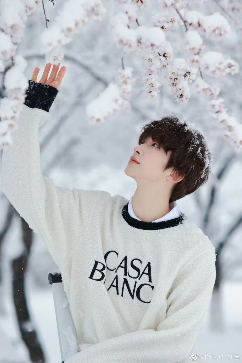 kBUnkZej1cdbw1s's tweet image. 北京ではいつ雪が降るのでしょうか😌私たちの初雪の約束は毎年楽しみにしてる🥰
#刘宇 #LiuYu