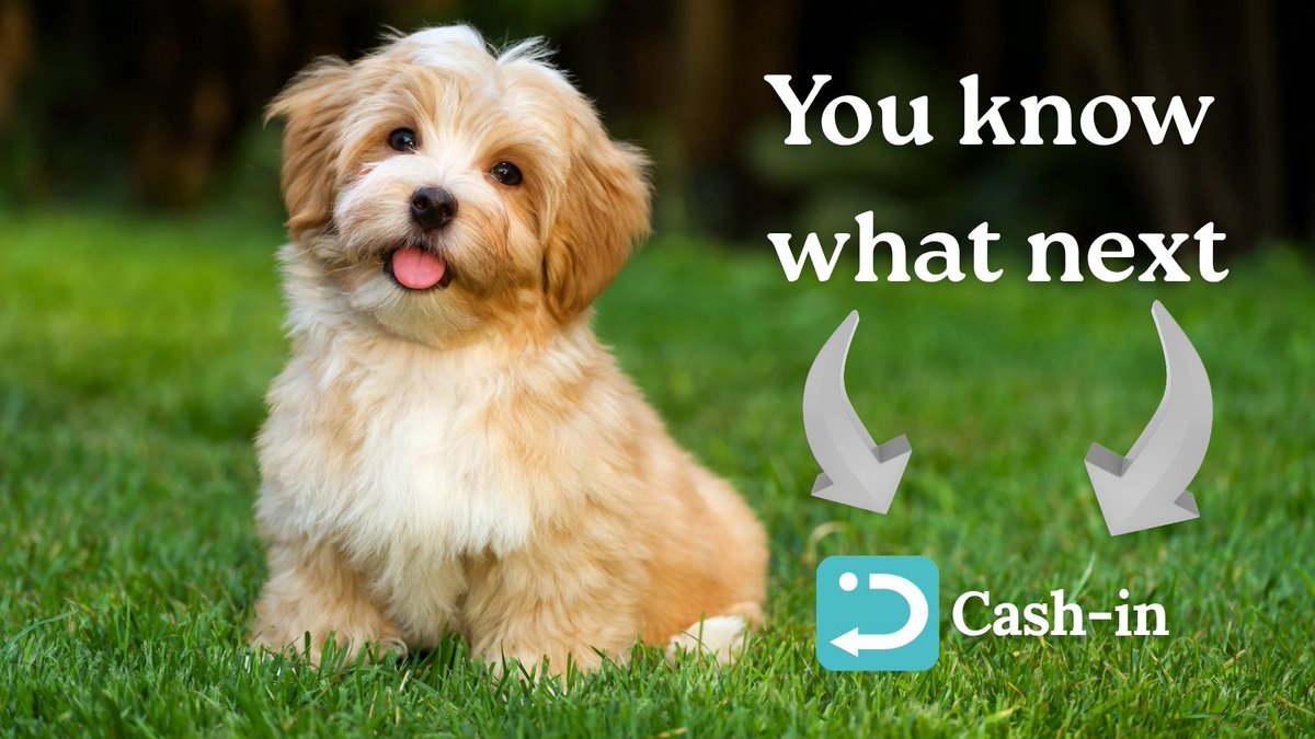 cashin_app's tweet image. Congrats on the airdrop. 🎉

gm! gMonad! 

$mon