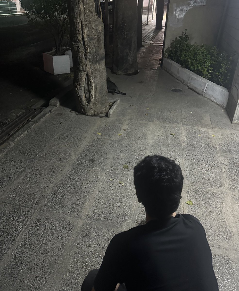 sepdaaal's tweet image. اینجا پیش پیش کردم ولی گربه نیومد :(