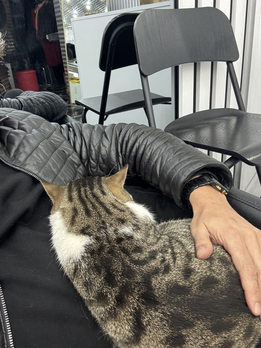 Olm bi kalk. İşim gücüm var ya. Allahtan iki selamlaştık. Yerleştin otel gibi :) 1 saat oldu. Uyandırmak da istemiyorum.