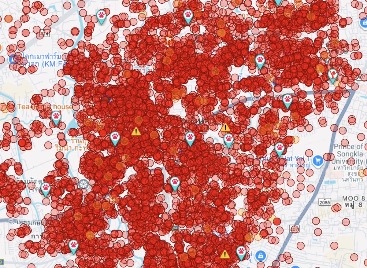 captainnerd23's tweet image. ถ้าการเมืองดี ... ยังไงน้ำก็ท่วมหาดใหญ่อยู่ดี เพราะไม่มีใครห้ามฝนไม่ให้ตกได้

ถ้าการเมืองดี ... ยังไงก็อาจประเมินสถานการณ์ผิดอยู่ดี เพราะน้ำท่วมรอบนี้รุนแรงกว่าที่ใครคาดคิด

แต่ ... 

ถ้าการเมืองดี ... เราจะมีแผนรับมือเหตุที่ดีกว่านี้ ประชาชนจะรู้ว่าตอนไหนควรขนของ…