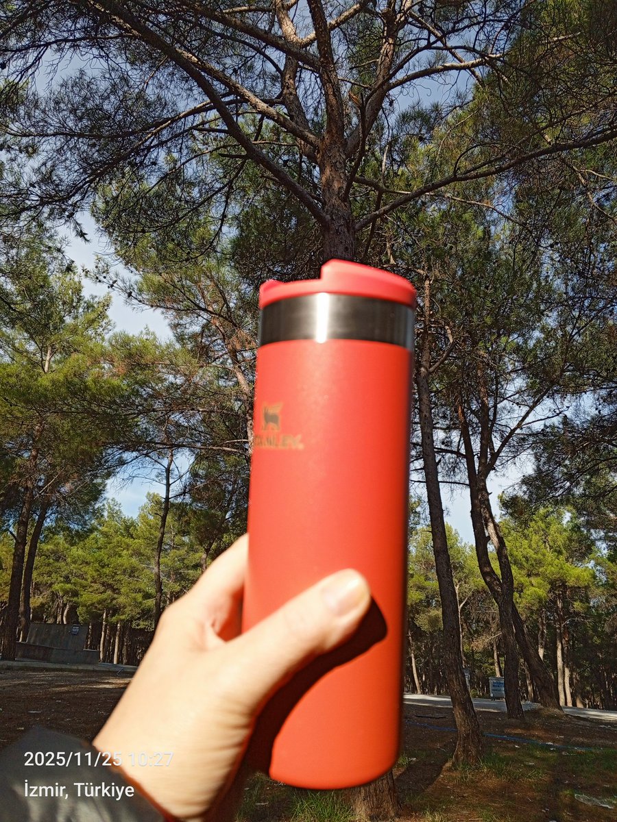 Güneş, çam kokusu ve sıcak kahvem… Bir yudum huzur, bir nefes iyi geliyor. ☀️🌲☕️

#salı 
#gunaydın