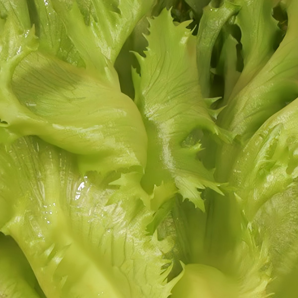 souri_bkk's tweet image. ก๊อก ๆ มาสปอยรสชาติใหม่ของอุดรธานี ถ้ามาแค่นี้จะทายถูกกันมั้ยน้า 🥬👀 

#SOURI #SOURIBKK 
#SOURILocalExclusiveMenu