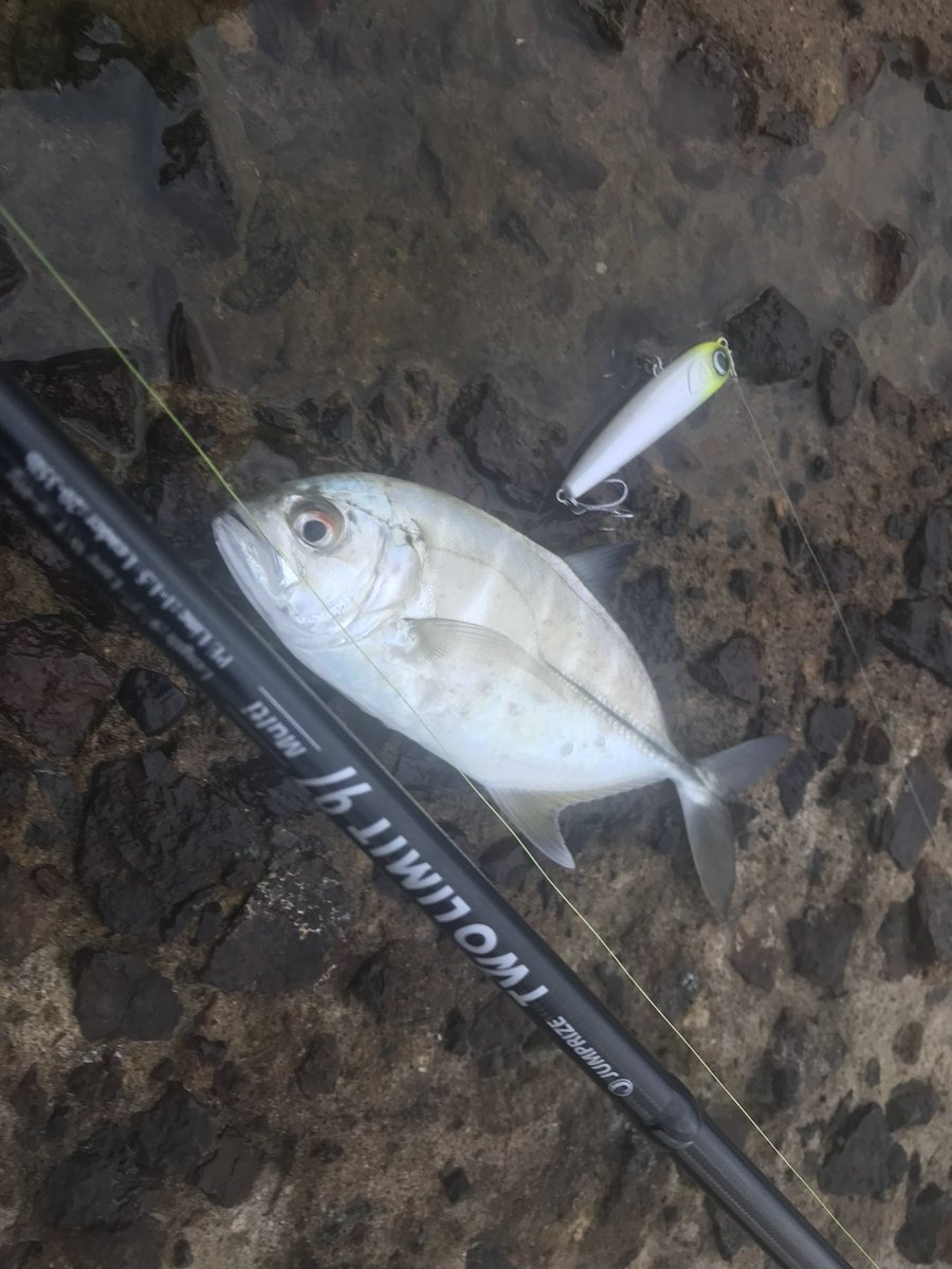 7oru (@7oru_Blue) / Posts / X