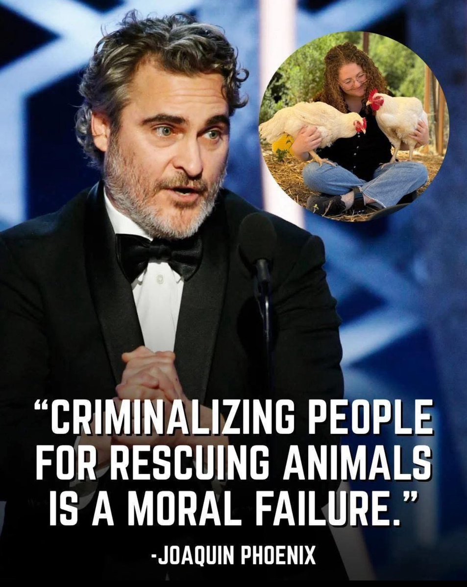 domdyer70's tweet image. 🔥 BREAKING: Joaquin Phoenix has come out in support of Zoe Rosenberg and the right to rescue, calling on the Sonoma County District Attorney&apos;s Office to prosecute animal cruelty at Perdue&apos;s Petaluma Poultry slaughterhouse. 

Phoenix issued the following statement:
&quot;Criminalizing…