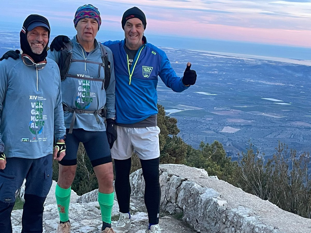 aamp.cat tweet media