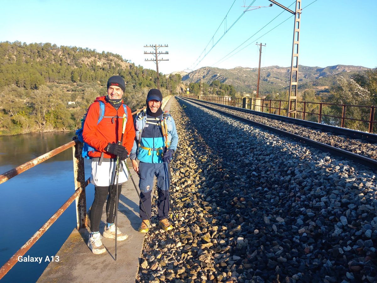 aamp.cat tweet media