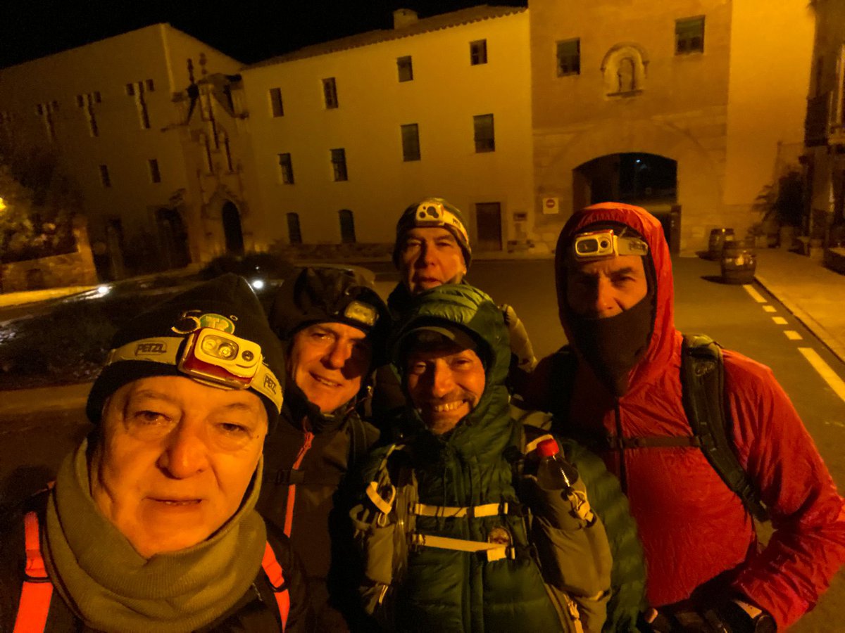 aamp.cat tweet media