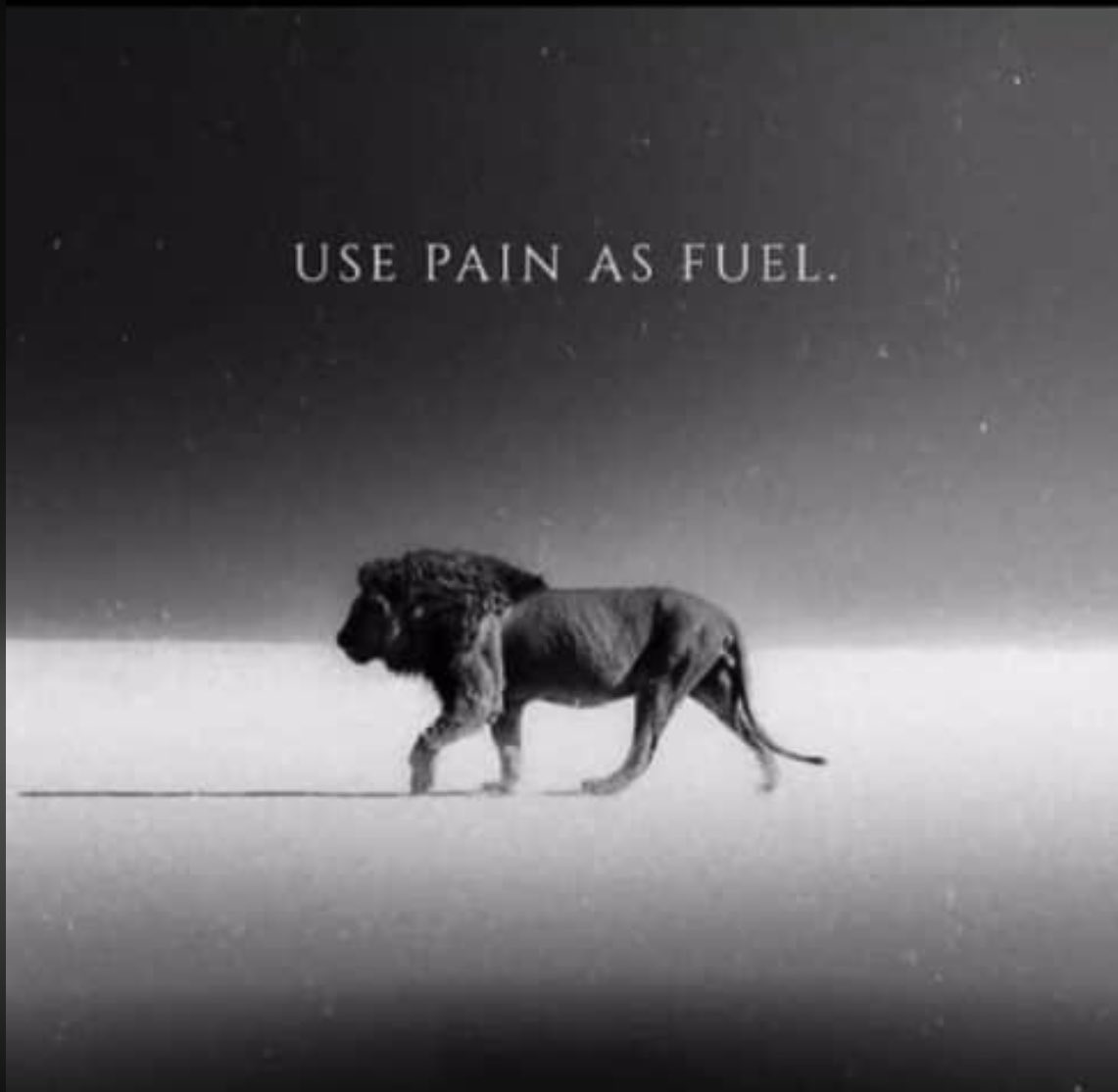 Web3Looper's tweet image. Let your pain sharpen you, not silence you.💫
#MotivationDaily