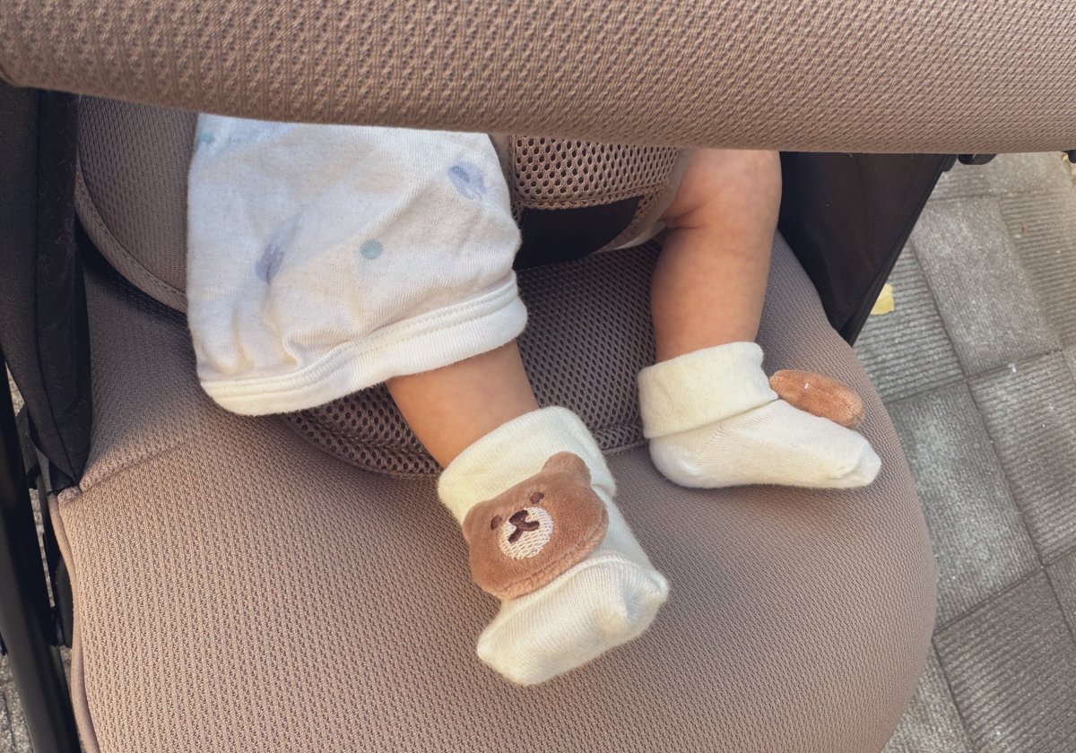 もっちゃん🌷 (@_______mochan) / Posts / X