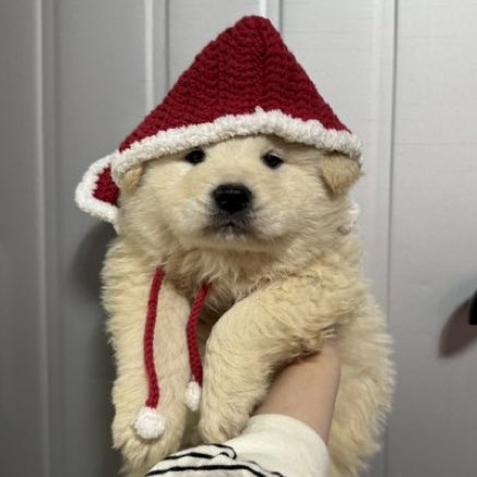 <a href="/RAD_univ/">링고 아니 대박이 그리고 글씨와 사비</a> 안녕하세요