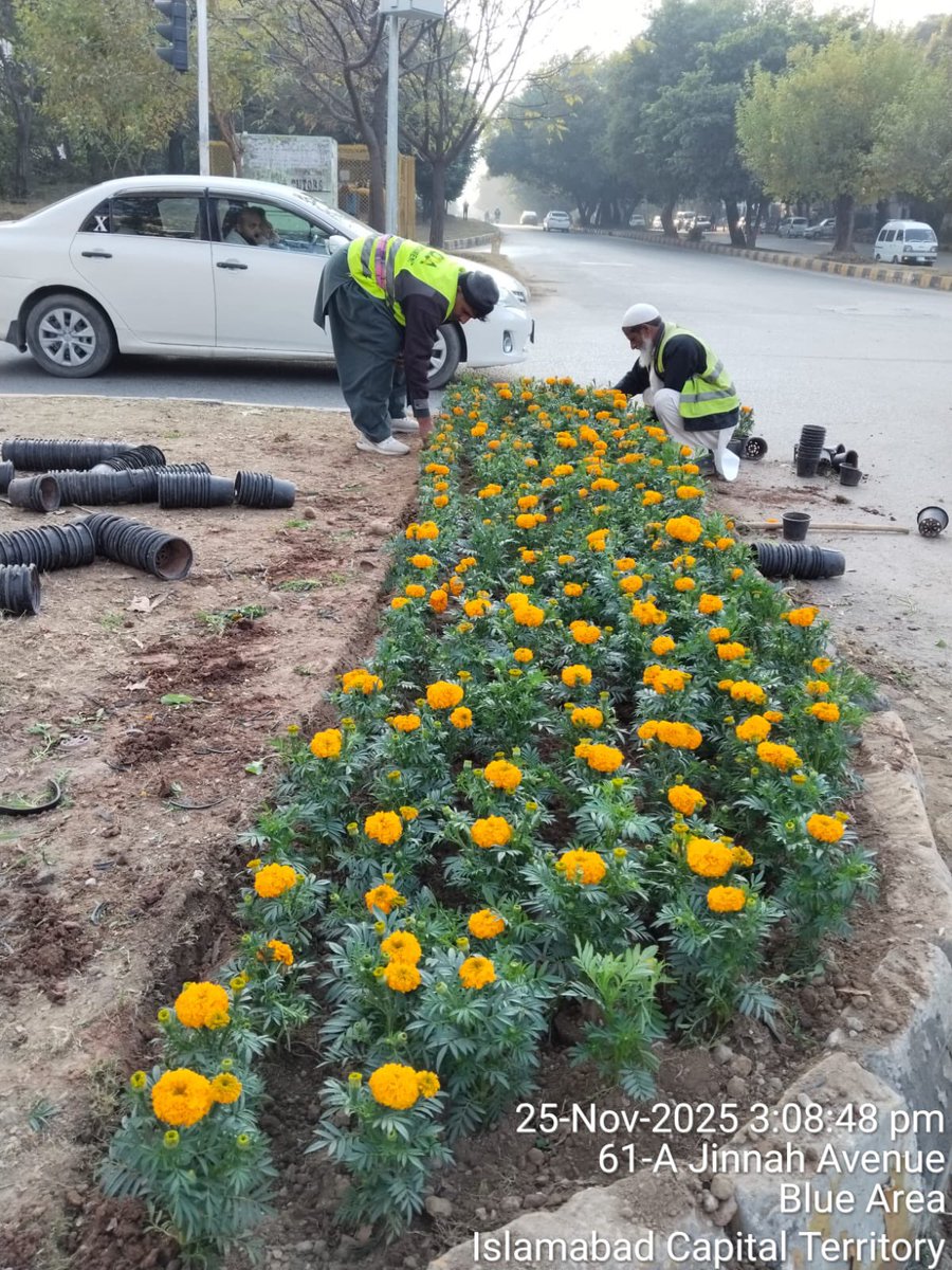 Capital Development Authority - CDA, Islamabad tweet media