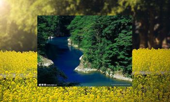 Cinnamon cookies bake for cozy afternoons.🎯真正的朋友，風雨同舟，歲月相伴。