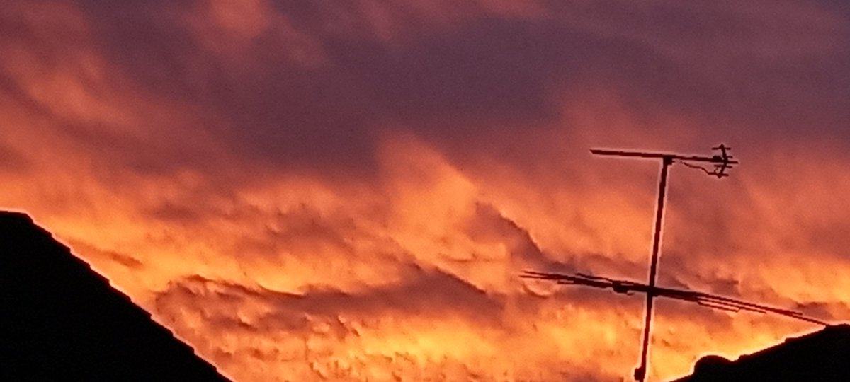 sweetcandie43's tweet photo. #sunsetshimmer #sunsetphotos ?#NaturePhotography #news #newspapers #media #EarthMix #photography #photographer #Weather #Sydney #snapsydney #viewbug #cbsnews #cbsmornings @NatGeoPhotos @sunriseon7 @weatherchannel @dailytelegraph @viewbug @snapsydney https://t.co/svEqmH47UJ
