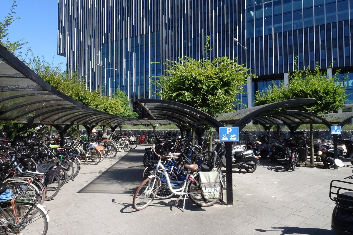 NandaSluijsmans's tweet image. Je hebt overdekte #fietsenstallingen🚲 met groene daken🌱, zeker heel mooi. Maar gewoon bomen🌳🌳 ertussen zetten, is ook heel fraai en minstens zo natuurinclusief. 🐦😃