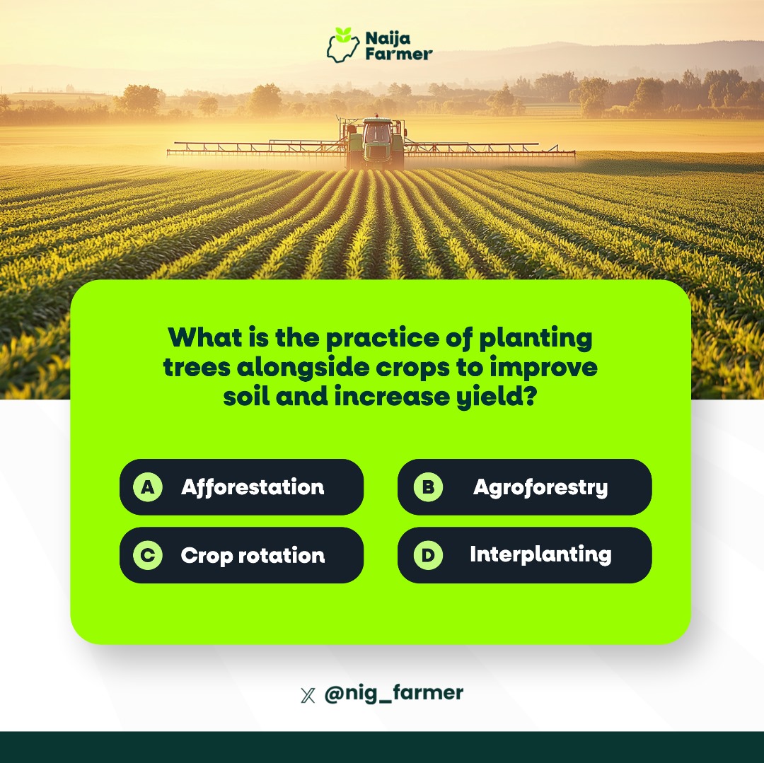 Nig_Farmer's tweet image. #NaijaFarmerTest 

Agricultural Brain Teaser

Test your Agricultural Science knowledge.

Retweet to your followers.
