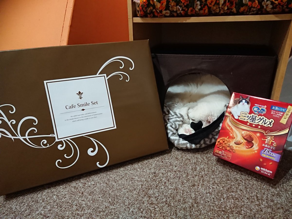 nekojalala's tweet photo. リンたん推しの常連様から人スタッフへの差し入れ、高齢猫へのフードをいただきました☺️生前腹巻やお洋服、フードもたくさんいただきました。最期の日もずっとリンたんのそばにいてくれました。リンたんを誰よりも愛していただき本当にありがとうございます😭
#ねこ #ねこjalala  #猫  #nekojalala https://t.co/LePNc8fWvz