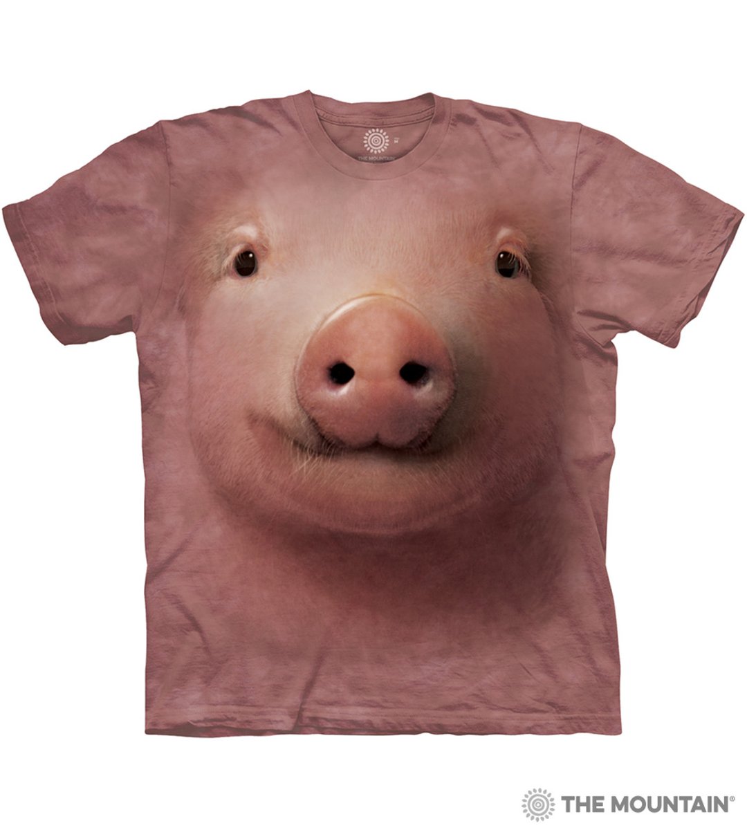 ToshendraSingh1's tweet image. Pigs like you