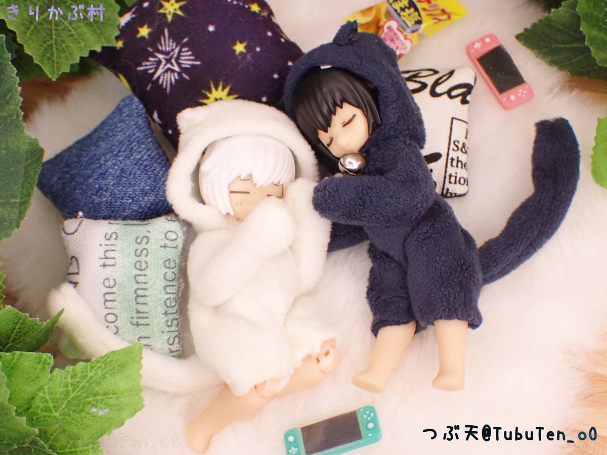 すやすや、
いいふたごの日🎮️