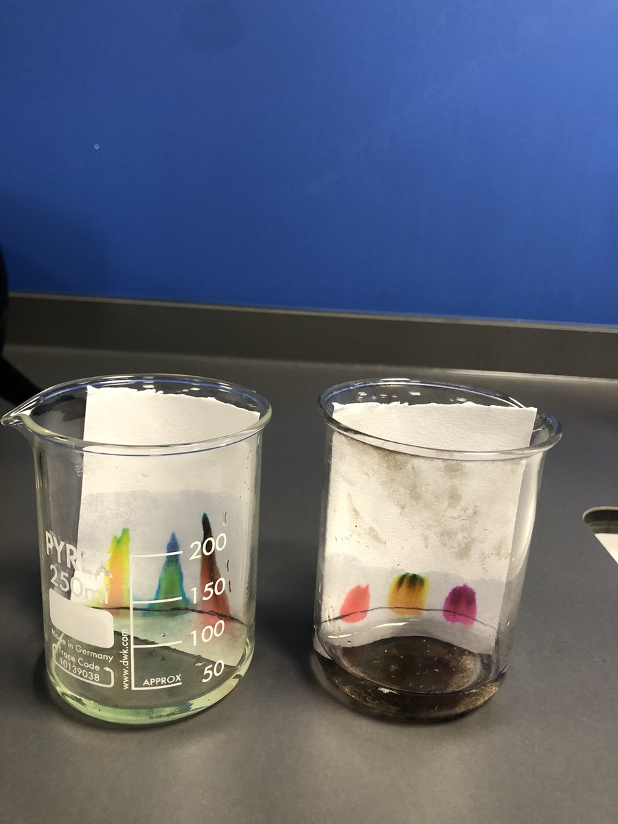 WinfieldScience's tweet image. Year 10 were revisiting the topic on separating mixtures this week. Here we can see chromatography. Great work.@1Penydre