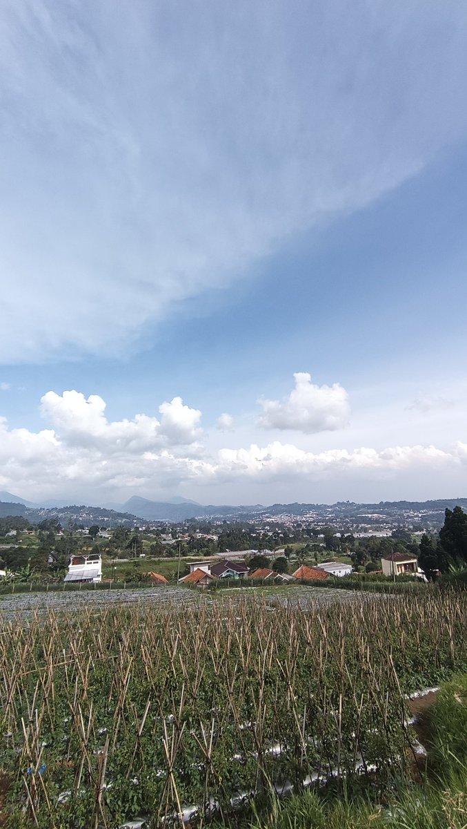 Garin🐸Bubbles🐸🌿 tweet media