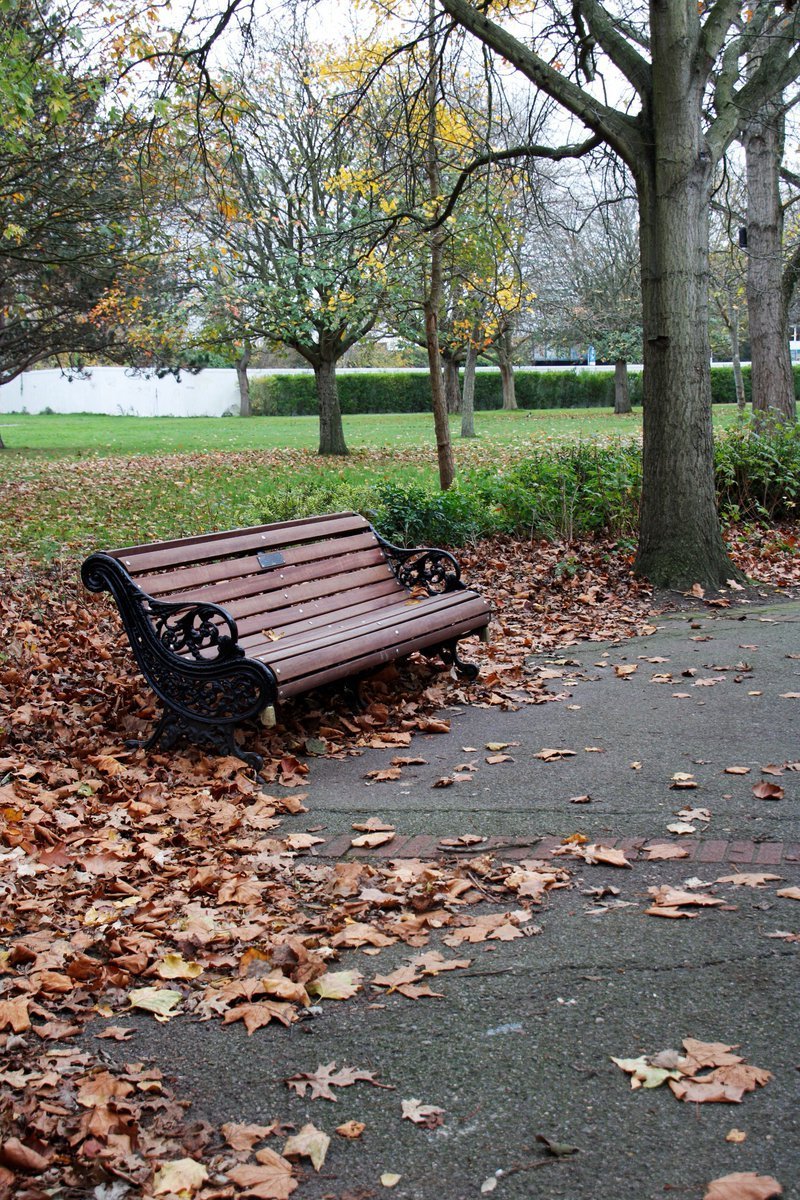 Whatadapperchap's tweet image. Good morning, all. Here we are again in the last week of meteorological autumn. Winter&apos;s around the corner &amp;amp; there&apos;s 1 month until Xmas Day. This year&apos;s just flown by. I hope this Tuesday is kind to you. Wrap up well &amp;amp; enjoy your day.

📷 Victoria Park
🇬🇧 Portsmouth