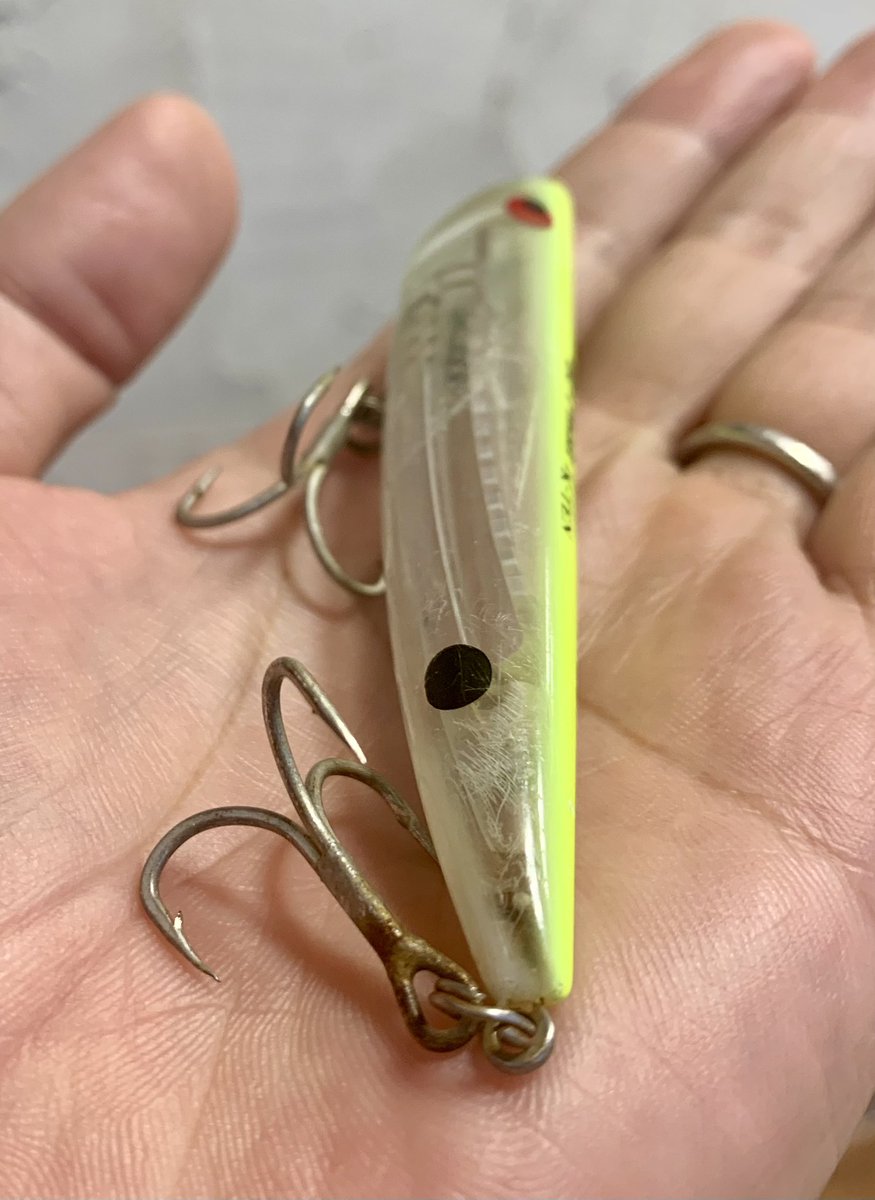 木下真太朗 (@shintaro_kino) / Posts / X