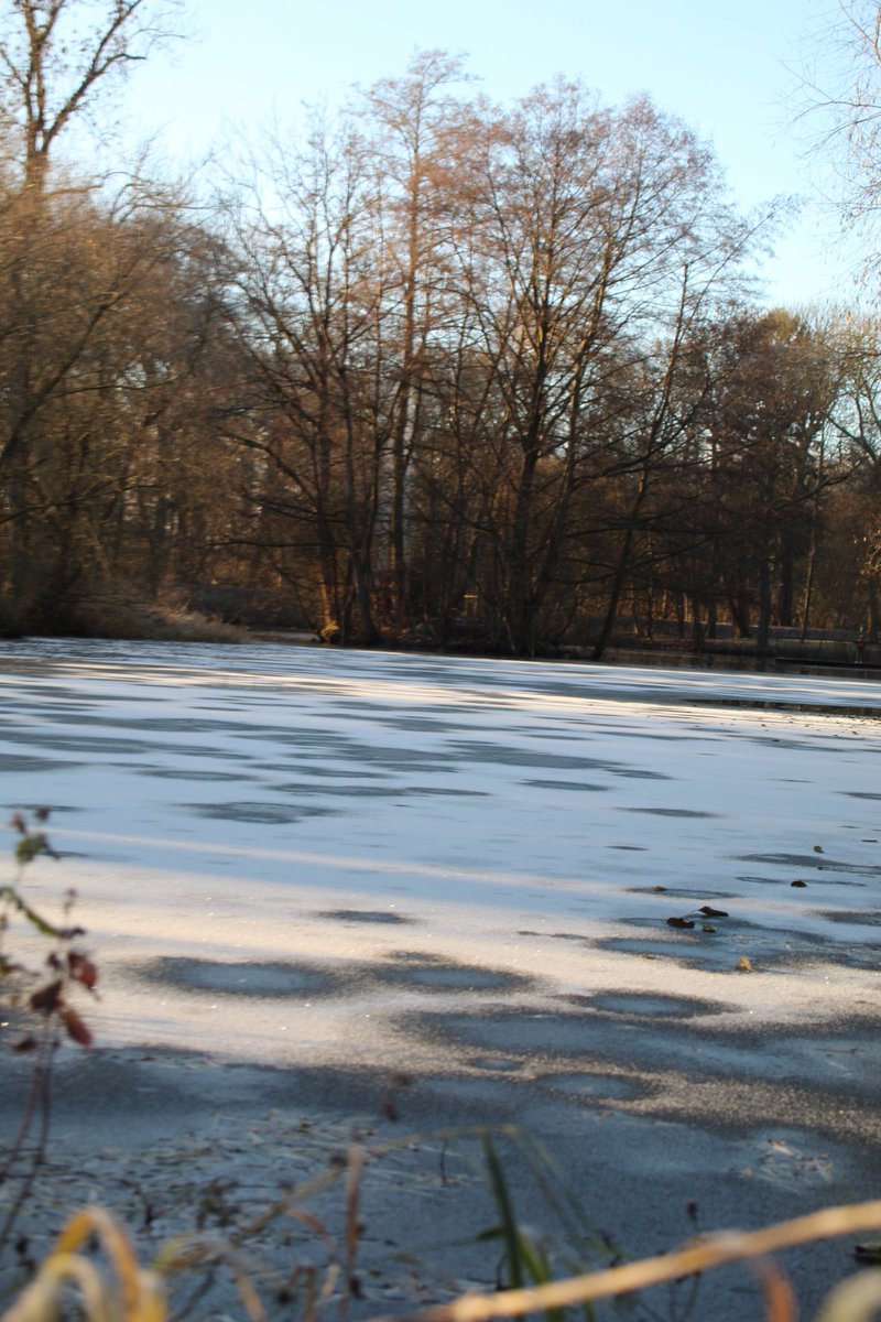 Draußen ist es schon wieder grau, deshalb hier noch etwas weiß ⛄.
Guten Morgen meine Twitter-Freunde, guten Morgen X-Ländle 🙋‍♂️, schönen Dienstag wünsche ich Euch 😊☕🍵🕊️🍀🐦🎄