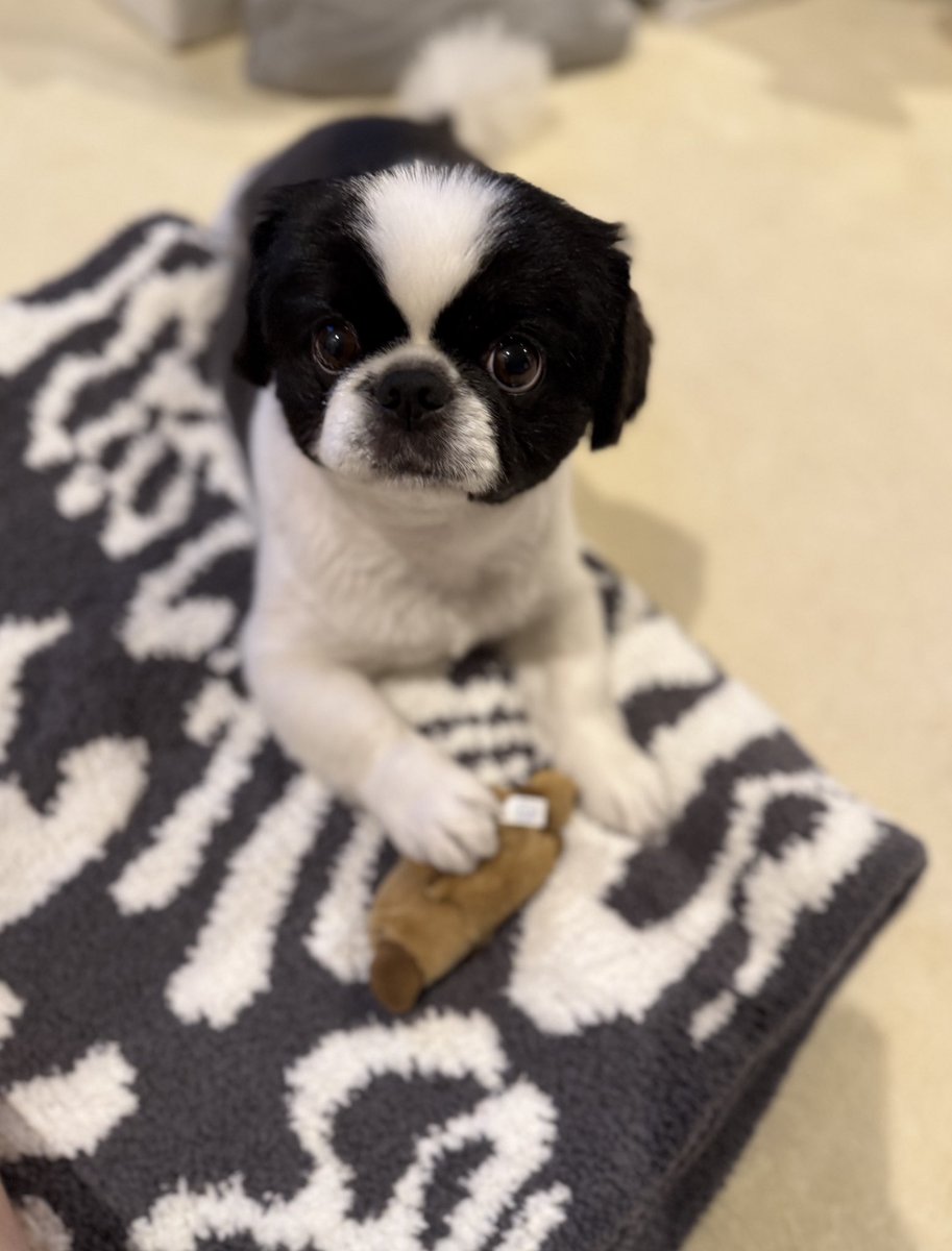 川上優 (森野雫)