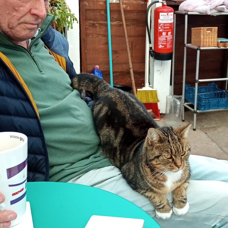 (Amanda)
You're not going to believe this but I've made another new friend!
Phil came into the veranda to have a coffee and I welcomed him by sitting on his lap.
Betty told me that I'm coming out of my shell.
That doesn't make sense to me because I've never had a shell but I