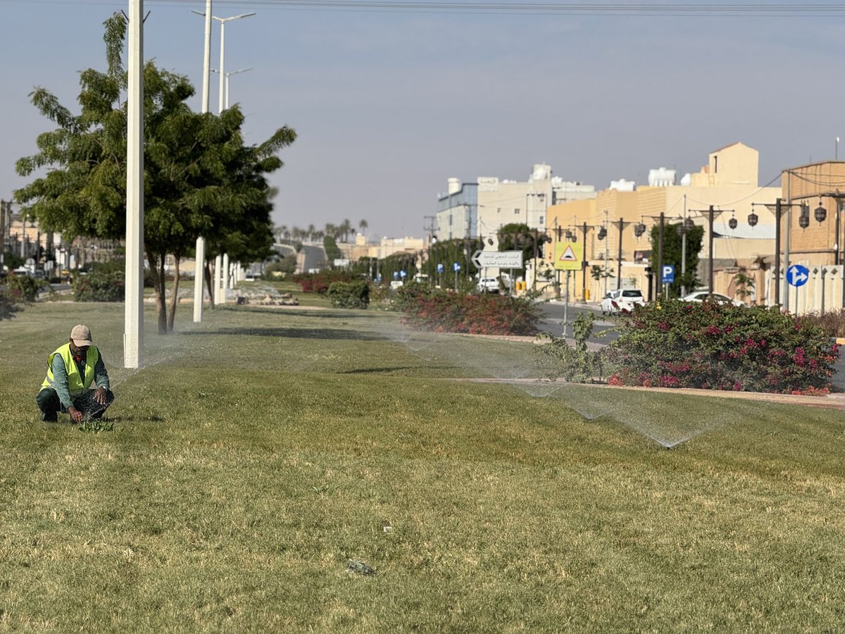 📸| صور 

يومياً .. 
#بلدية_الخبراء تعمل لأجلكم 

من العناية بالمسطحات الخضراء إلى الريّ والغرس وتقليم الأشجار بالطرق 

جهود ميدانية متواصلة لنصنع لكم بيئة أجمل ومشهداً حضرياً يليق 

#جودة_الحياة
#أمانة_منطقة_القصيم