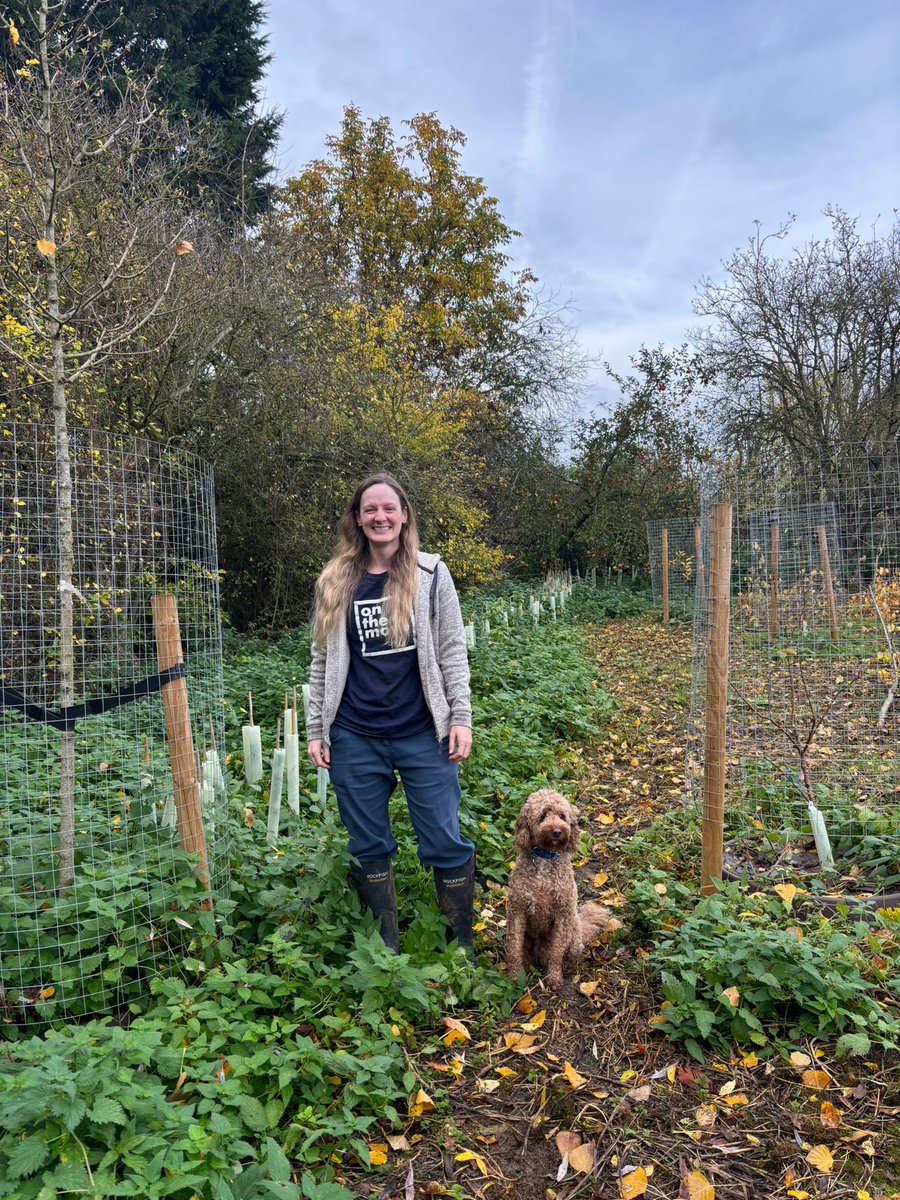RAIN_Northants's tweet photo. Visited Nicola (&amp; Cosmo the dog!) in #Sudborough to check on the trees &amp; hedgerow we planted with volunteers in Feb 🌳
✅ Thriving despite drought
🍏 Apples already from the orchard!
💚 Boosts biodiversity &amp; flood resilience
More planned soon! #TreePlanting #FCRIP #FCERMstrategy https://t.co/FXPCpZeRP7