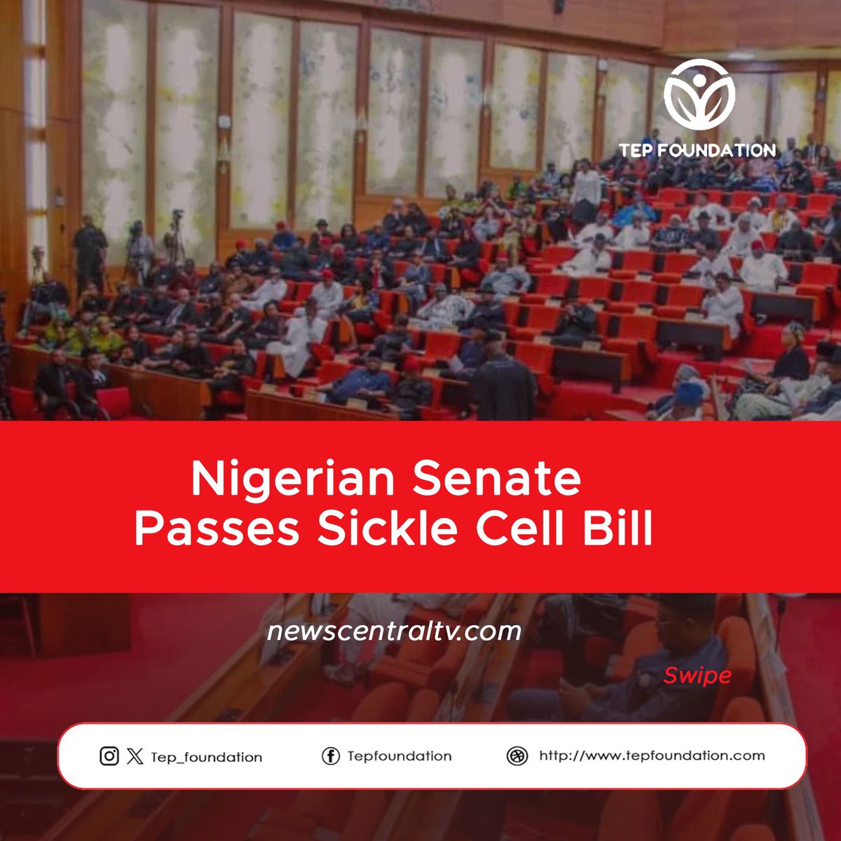 Tep_foundation's tweet photo. The Nigerian Senate has approved the second reading of a landmark bill to establish Sickle Cell Disease Research and Therapy Centres across the nation's six geopolitical zones and the Federal Capital Territory.

Click the link to read ➡️ https://t.co/25wDhOlOFP https://t.co/X59iRAUa4k