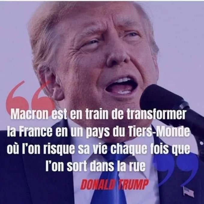 PinguoinSecours's tweet image. 