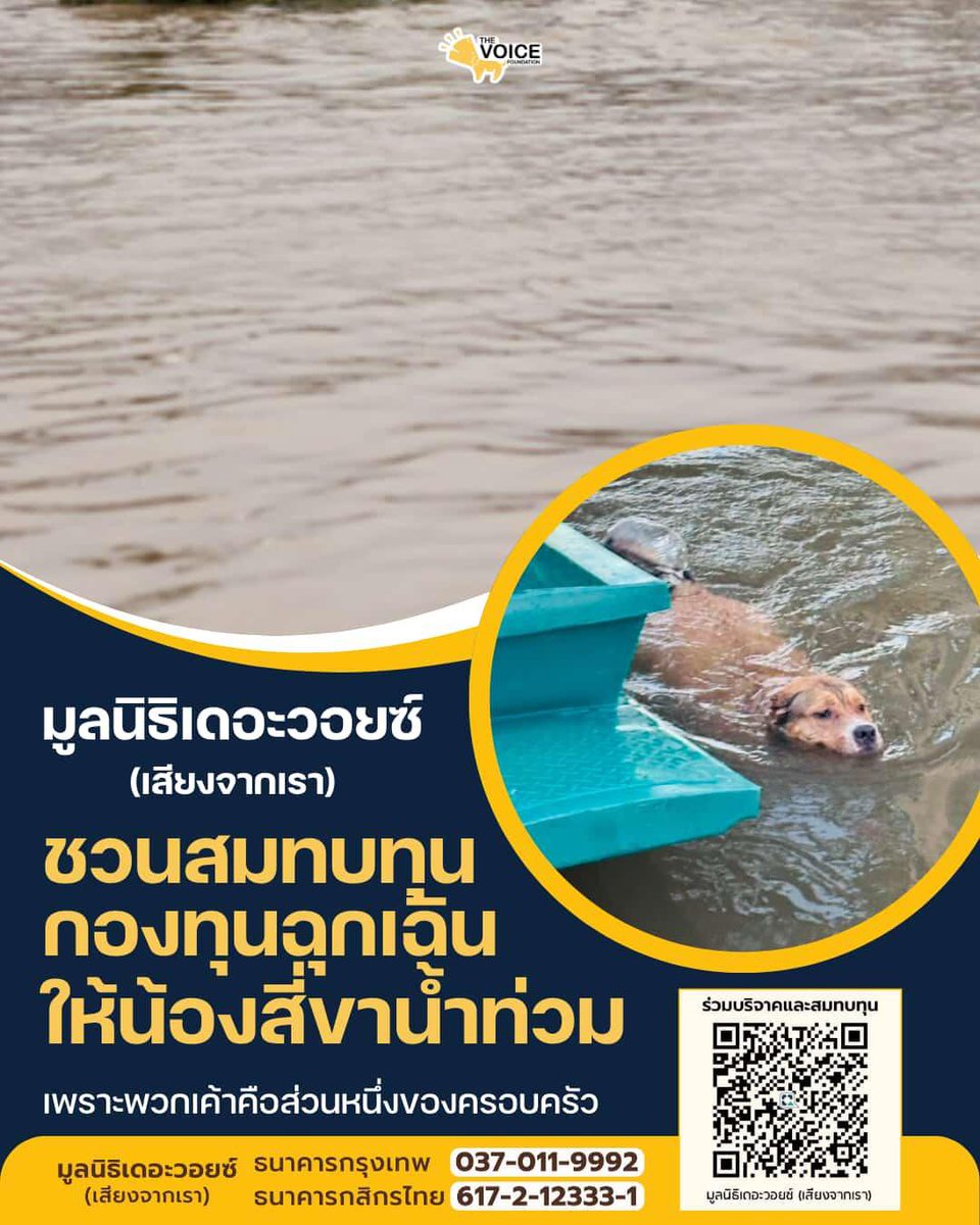 🌧️🐾 ขอแรงคนไทย… ช่วยต่อลมหายใจให้น้องสี่ขาผู้ประสบภัยน้ำท่วมภาคใต้

ช่วง2-3วันที่ผ่านมา สถานการณ์น้ำท่วมในหลายจังหวัดของภาคใต้ยังคงน่าเป็นห่วง ไม่ใช่แค่ผู้คนที่เดือดร้อน แต่น้องหมา–น้องแมวจำนวนมากกำลังติดอยู่ในพื้นที่เสี่ยง ขาดอาหาร แหล่งพักพิง และการรักษาพยาบาลอย่างเร่งด่วน