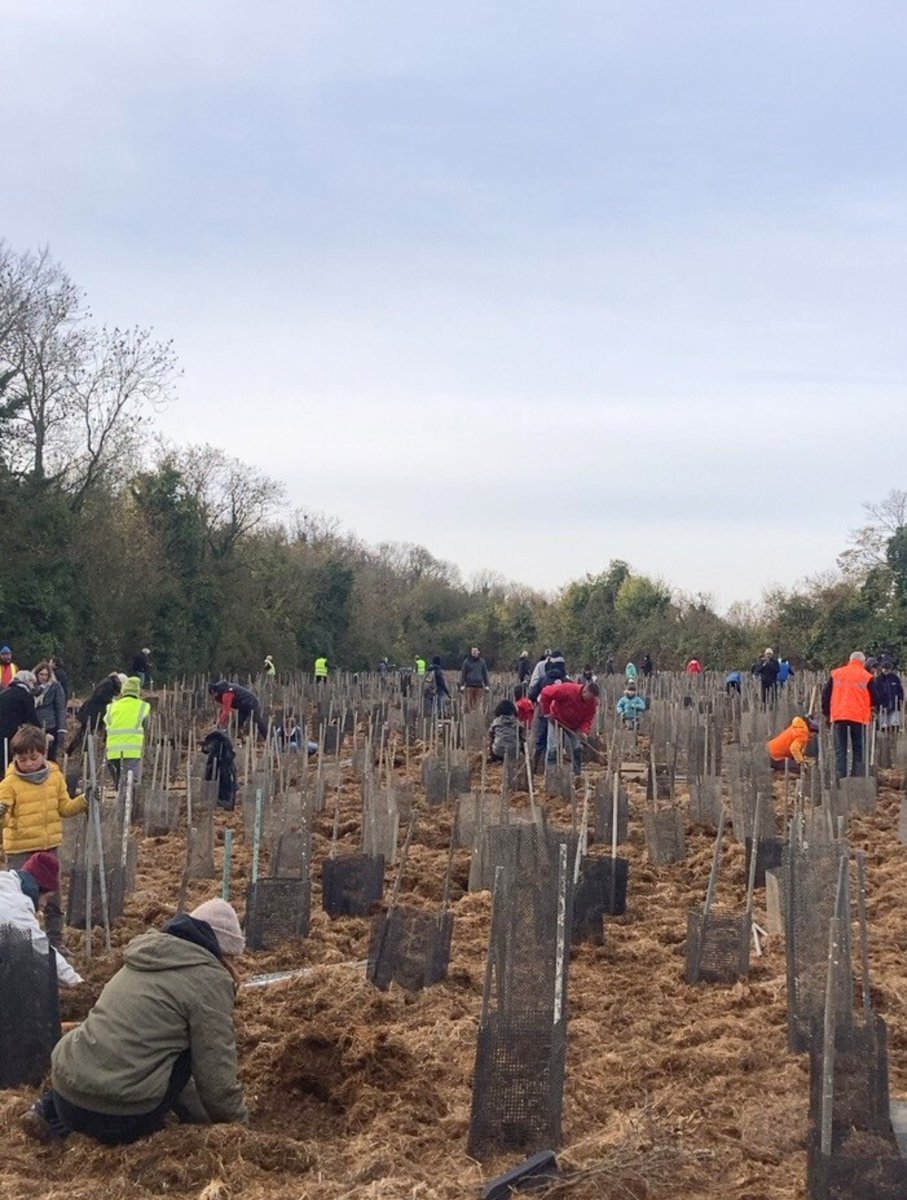 [Projet Forêt Bleue] Un petit geste, un grand impact pour notre territoire🌱

Samedi dernier, aux côtés de la Coopérative Carbone et d’autres bénévoles venus du territoire, 8 de nos collaborateurs ont pris part à la création d’une micro-forêt dans le cadre du projet Forêt Bleue.