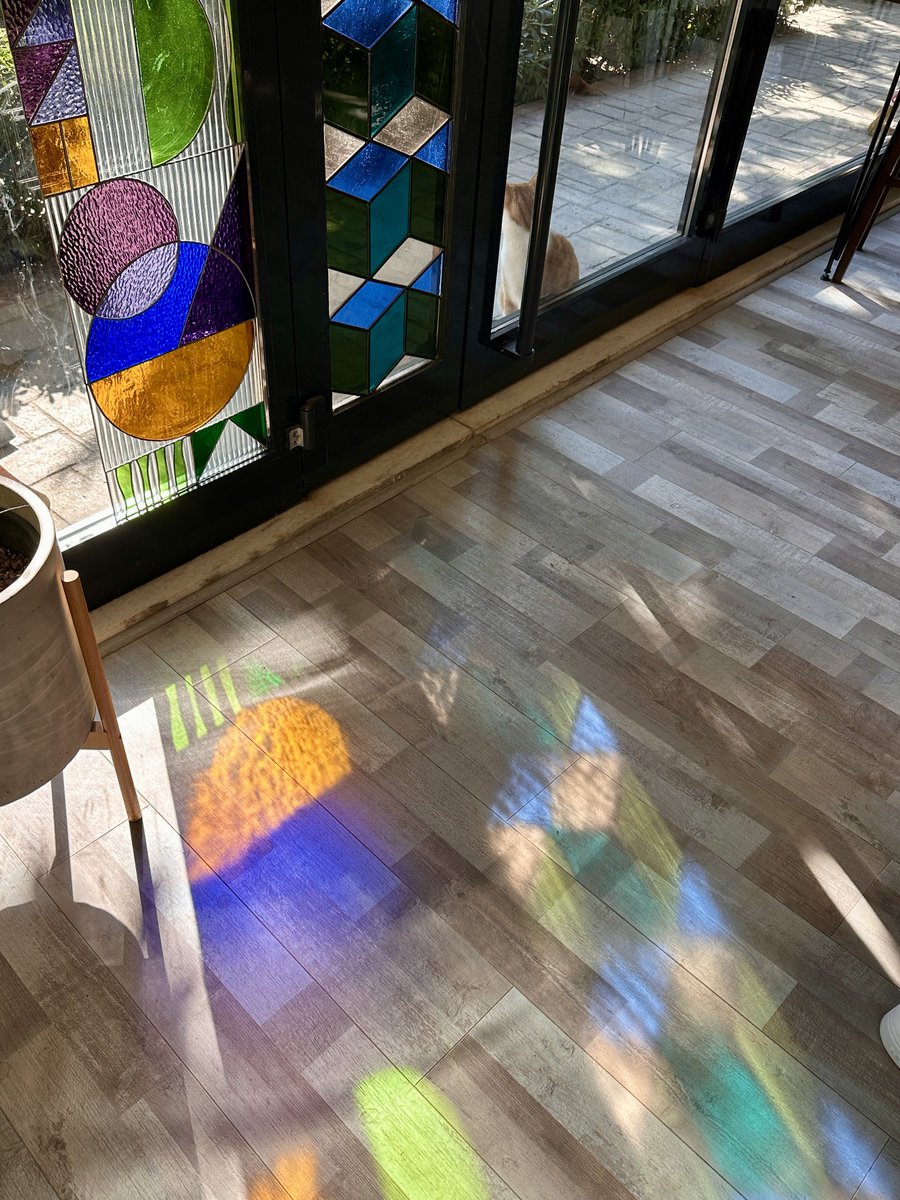 busraggunay's tweet image. Kasım ve renkleri