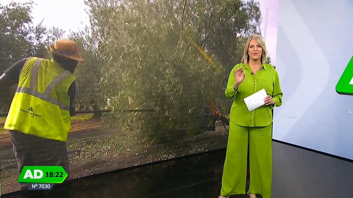 MÁXIMO DE TEMPORADA para @ADirecto en la tarde de <a href="/canalsur/">CanalSur</a> 

➡️ LÍDER EN ANDALUCÍA con un 18.3% de share y una media de 297.000 espectadores

➡️ 723.000 espectadores conectaron en algún momento

#QueVivaLaTele #Audiencias