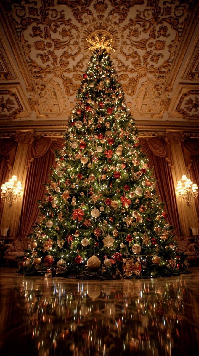 Sol ☼ (@solithra) on Twitter photo 