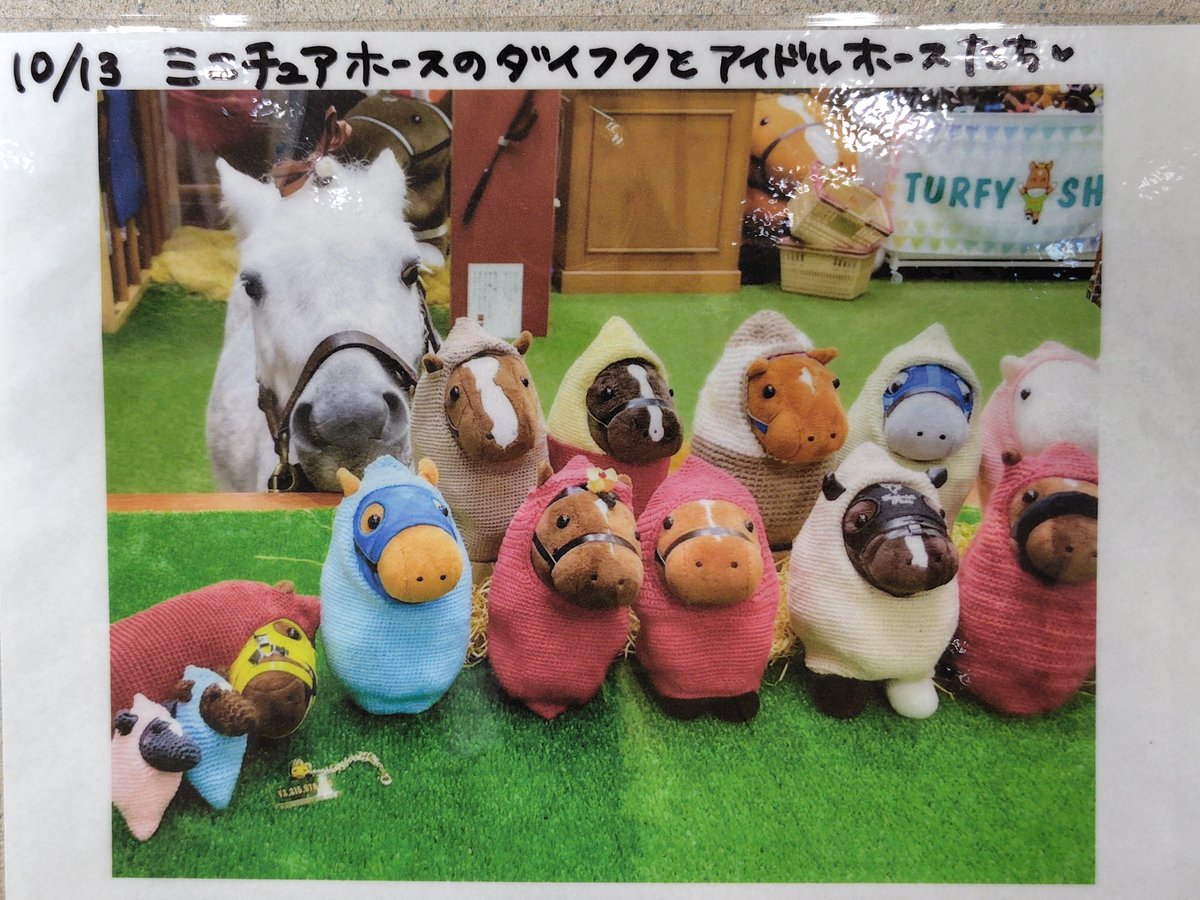 福島競馬場ターフィーショップの右側ディスプレイにある写真なんです
